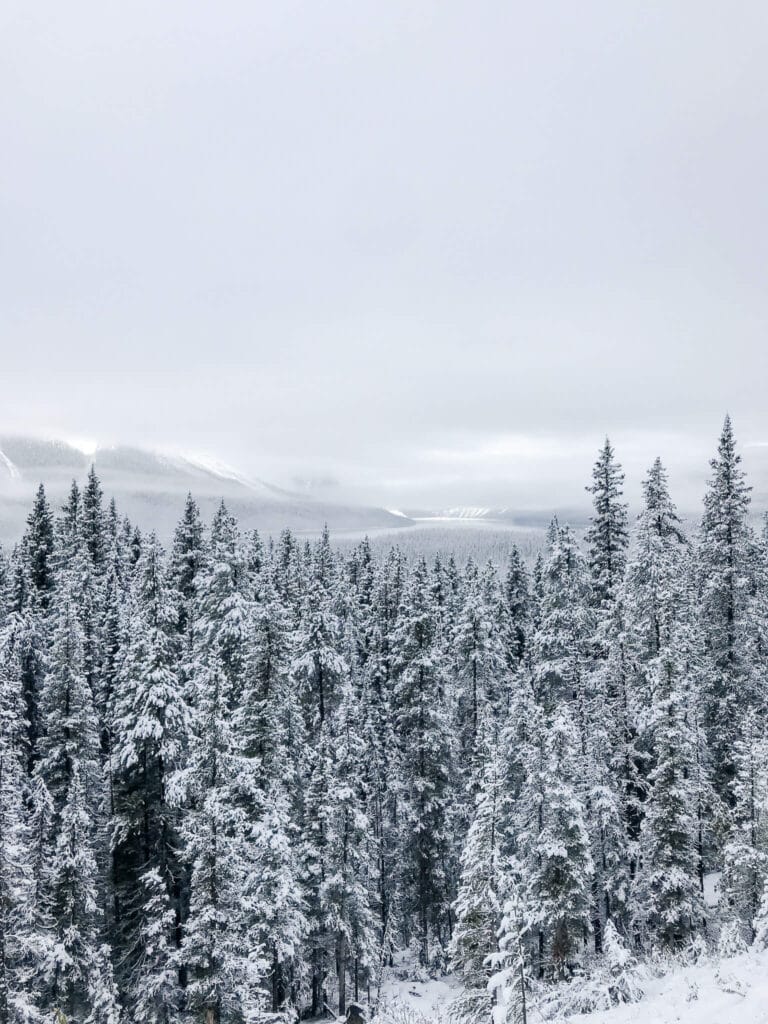 weather in banff in september