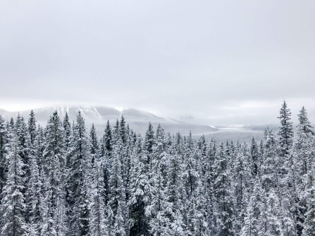 icefields parkway, banff national park, canada