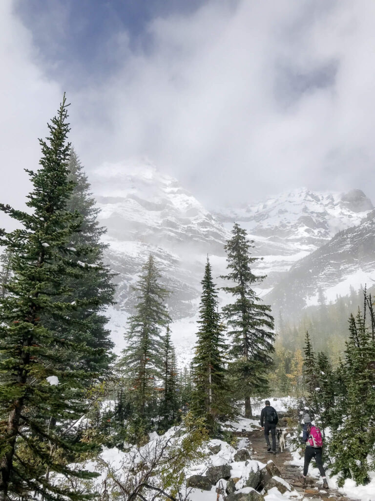 plain of six glaciers teahouse trail, banff national park, canada