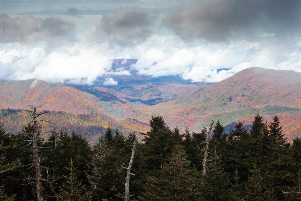 View from Clingman's Dome, Great Smoky Mountains National Park, Tennessee, fall US road trip