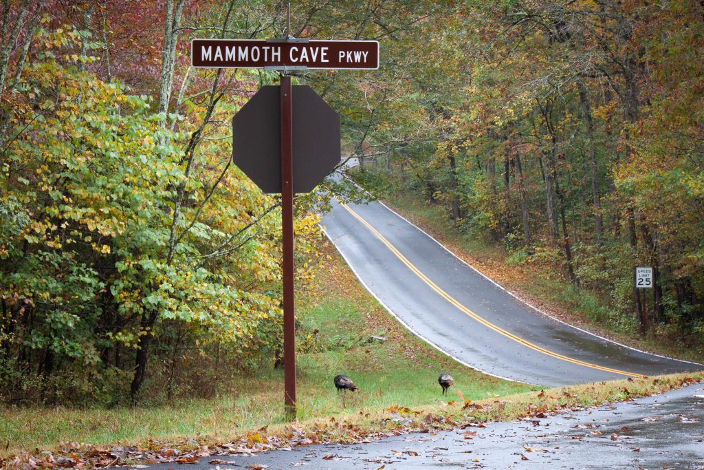 fall US road trip, mammoth caves national park, US national parks