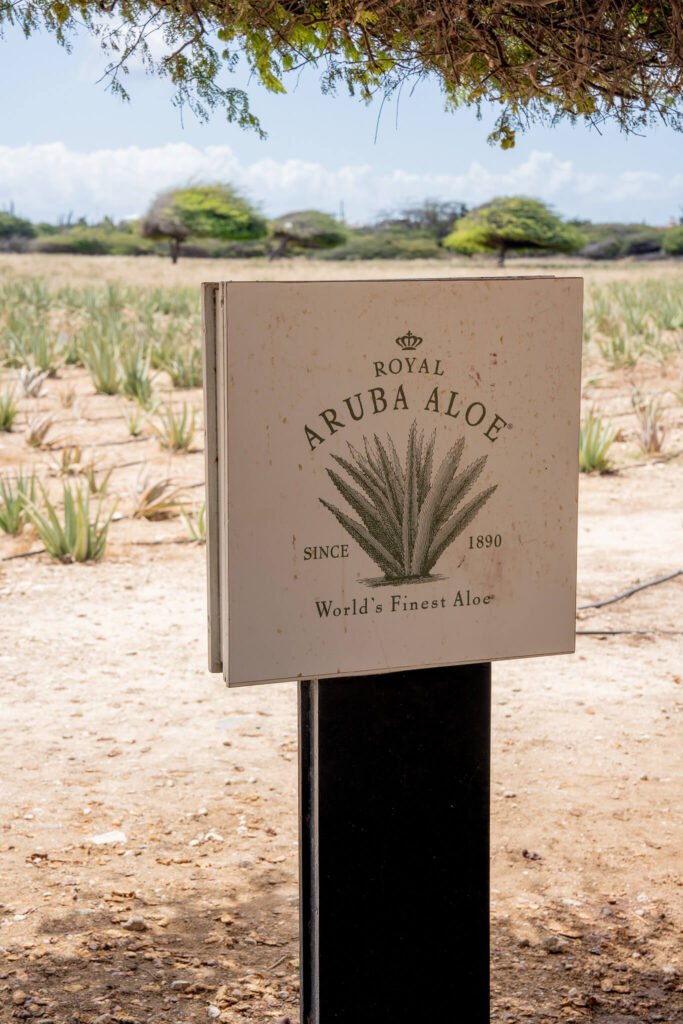 aloe factory aruba