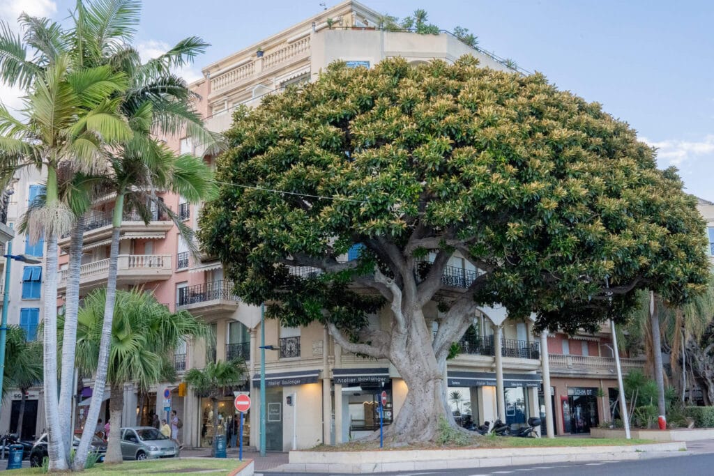 menton, france