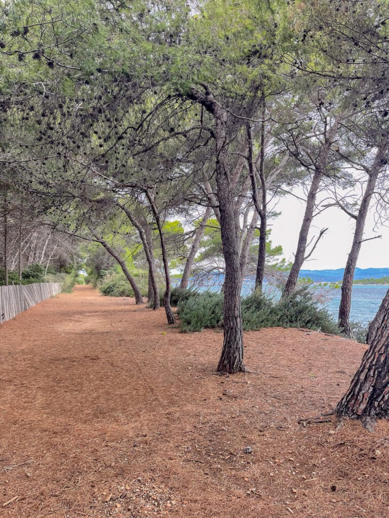 île saint honorat