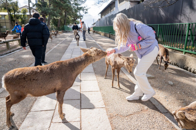 day trip to nara, japan