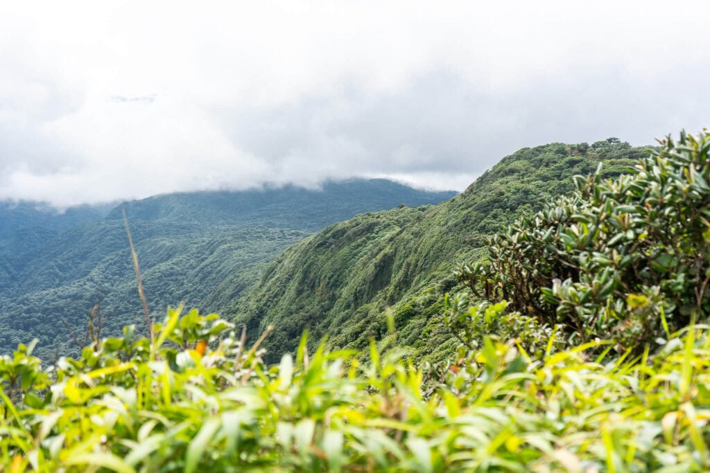 monteverde cloud forest tours, costa rica
