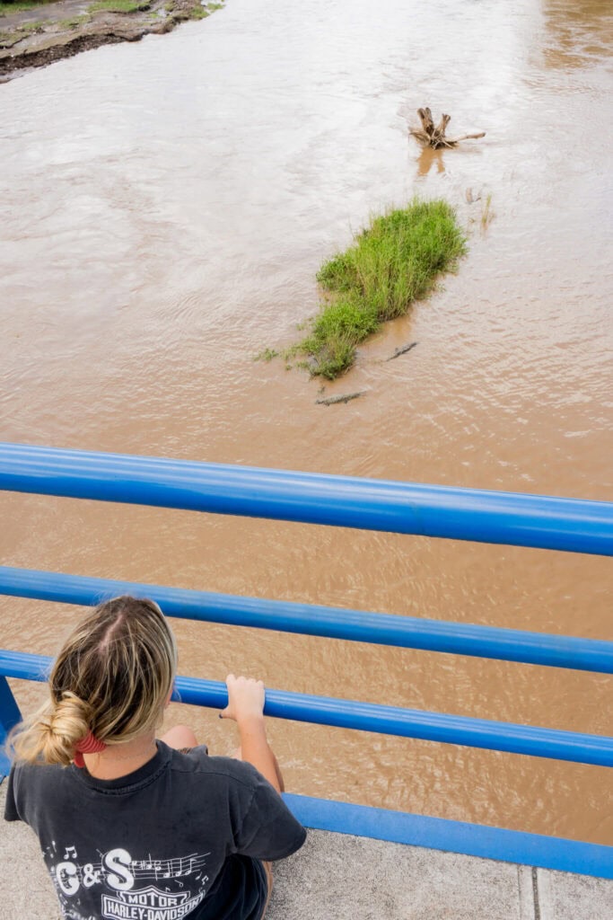 crocodiles in costa rica at rio tarcoles