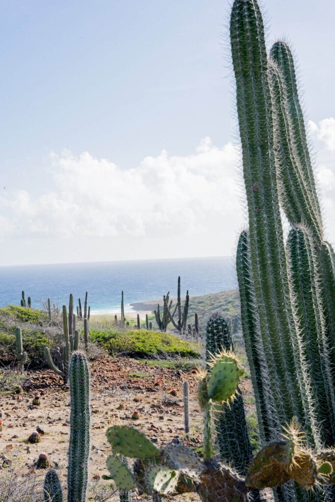 arikok national park, aruba