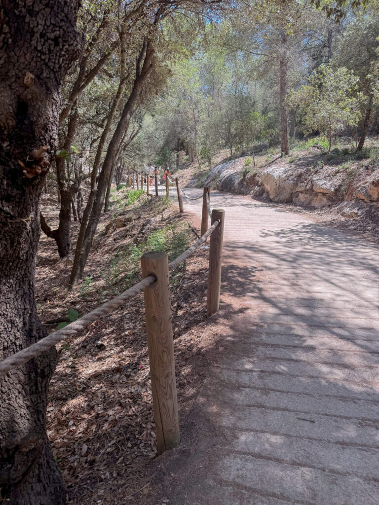 trail to cala mitjana, menorca
