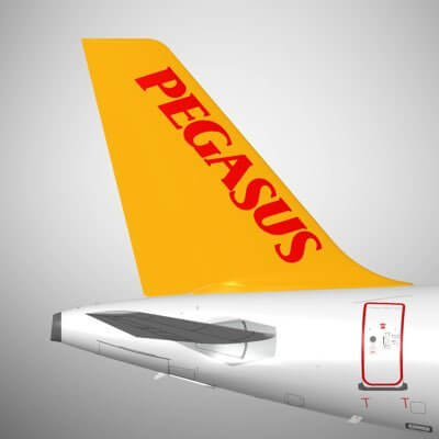 Pegasus flight