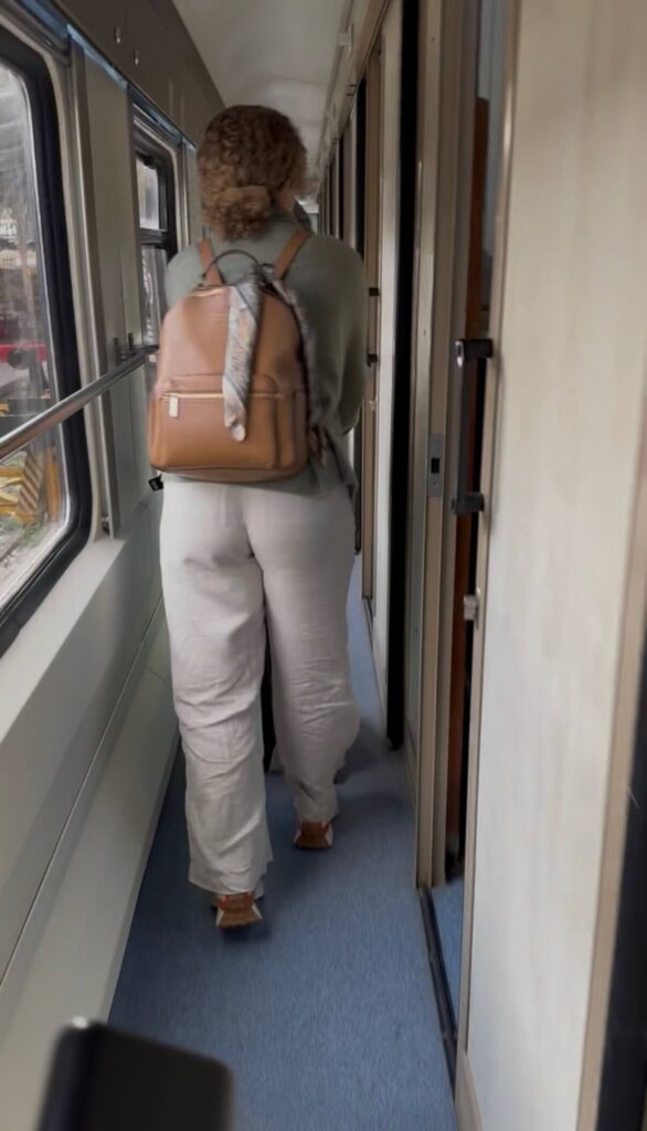 overnight train in turkey